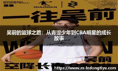 LD乐动官网